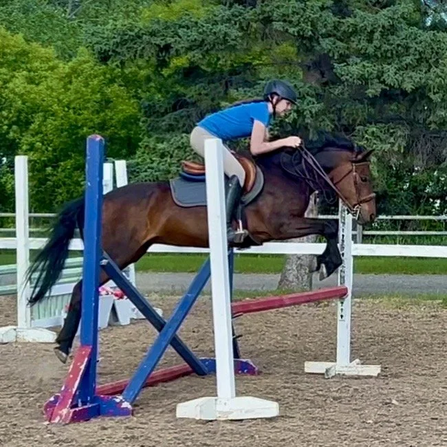 A girl in a blue shirt, riding helmet, and beige riding pants, is jumping a horse over a hurdle in an outdoor riding arena surrounded by green trees.