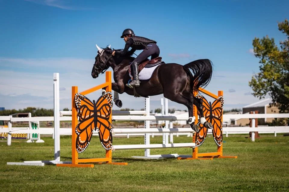 A person riding a black horse jumping over an orange and butterfly-themed hurdle on a grassy field.