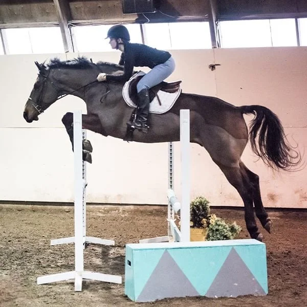 A person riding a horse over a jump in an indoor arena.