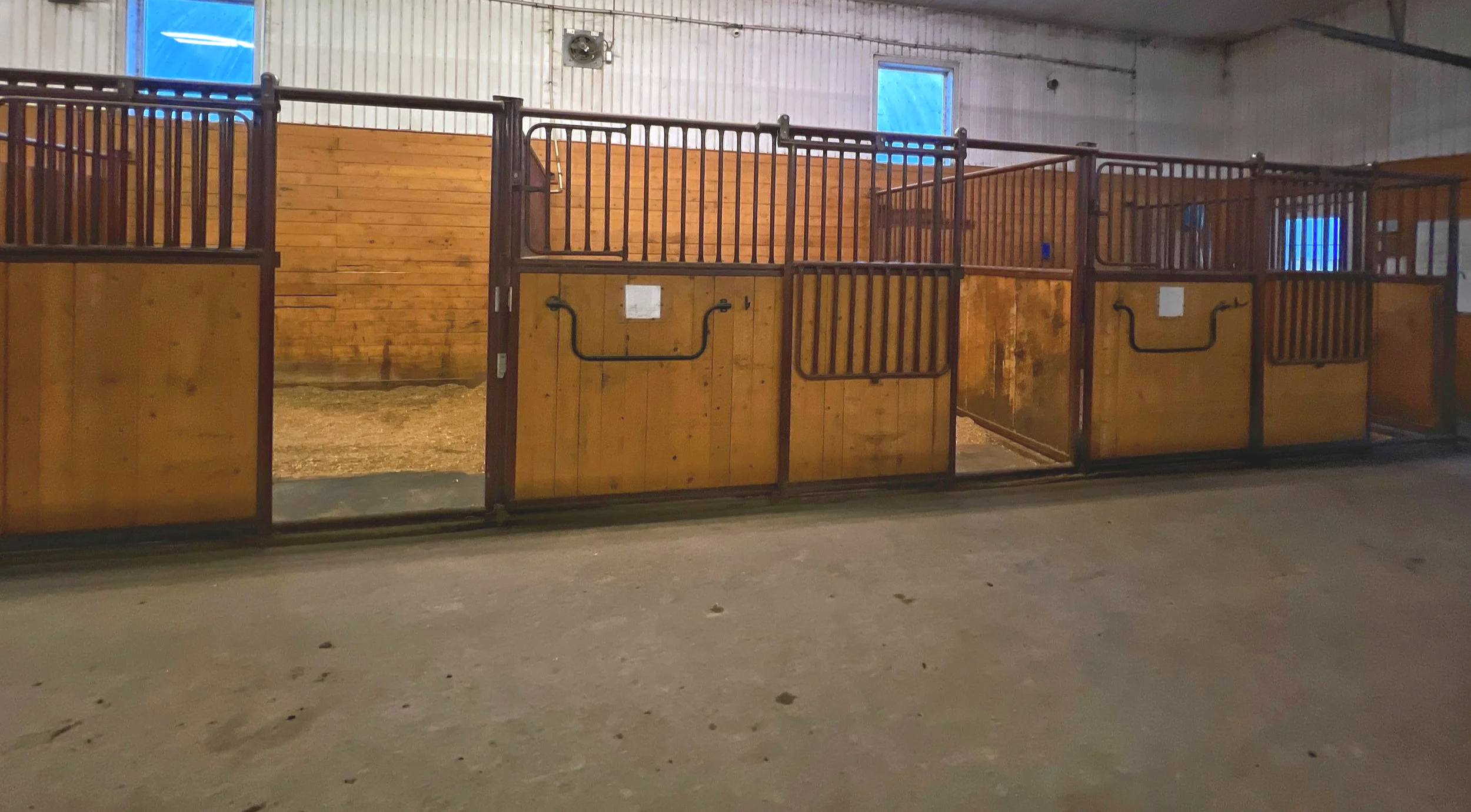 Indoor horse stable with wood and metal stalls, small windows with blue coverings, and a concrete floor.