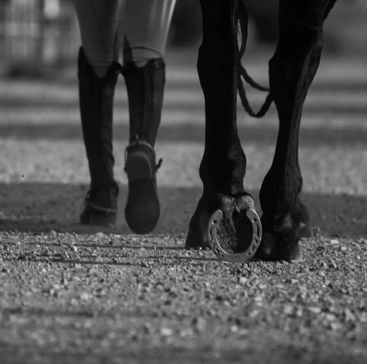 A person walking with a horse, showing the person's legs and the horse's legs, both in motion, on a gravel surface.