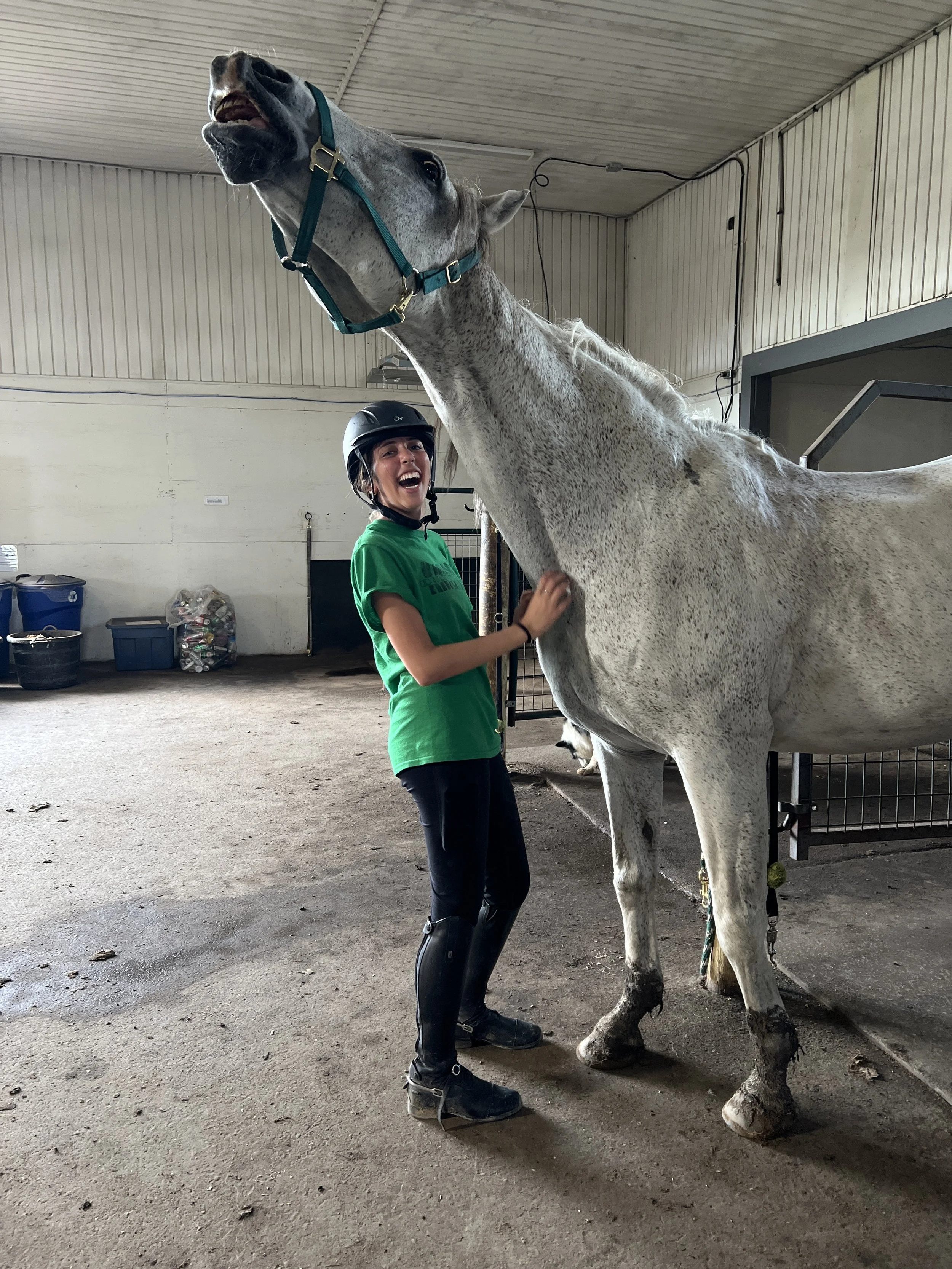 A woman in riding gear smiling and petting a tall gray horse in an indoor stable.