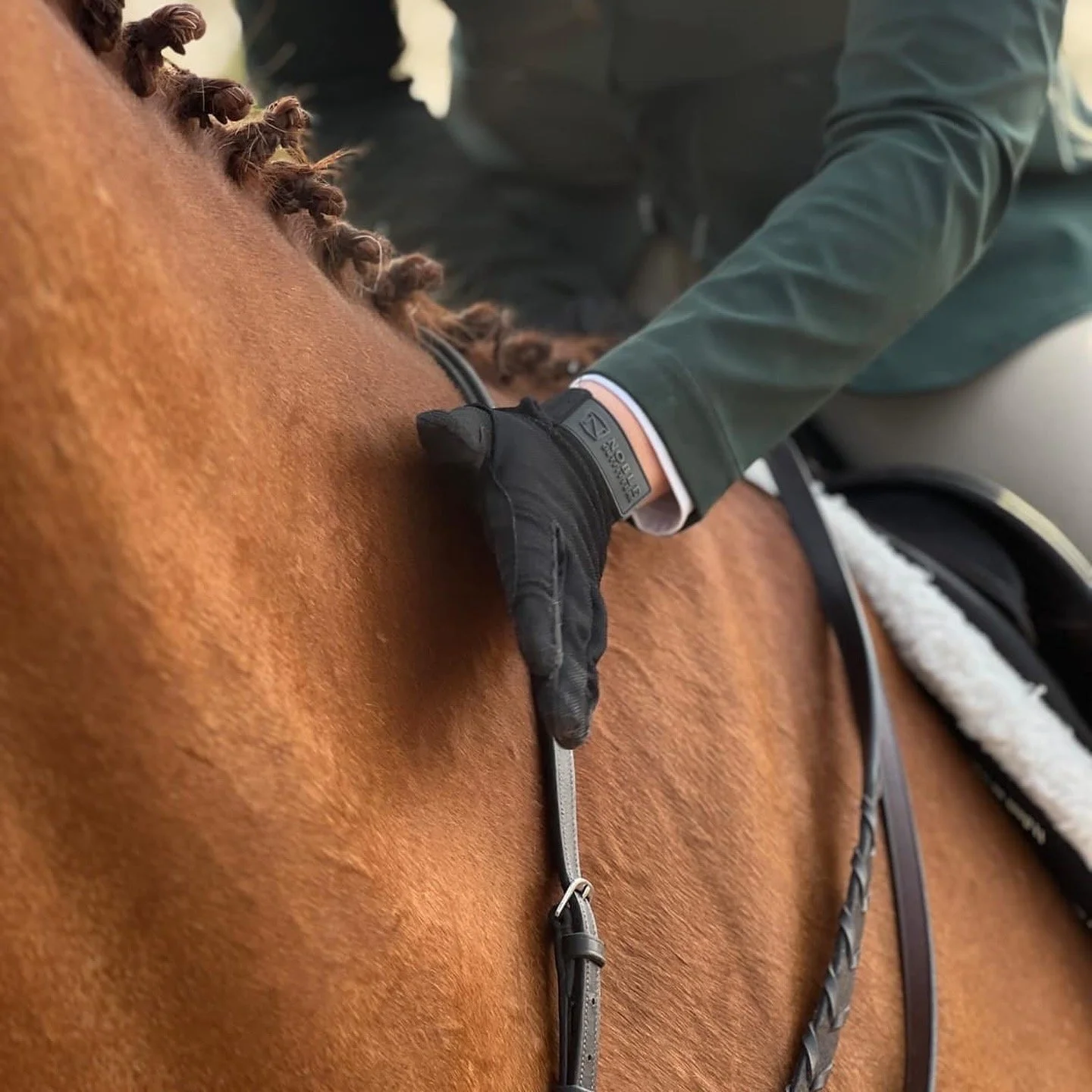 Close-up of a person riding a brown horse, wearing a dark green jacket, black gloves, and holding the reins.
