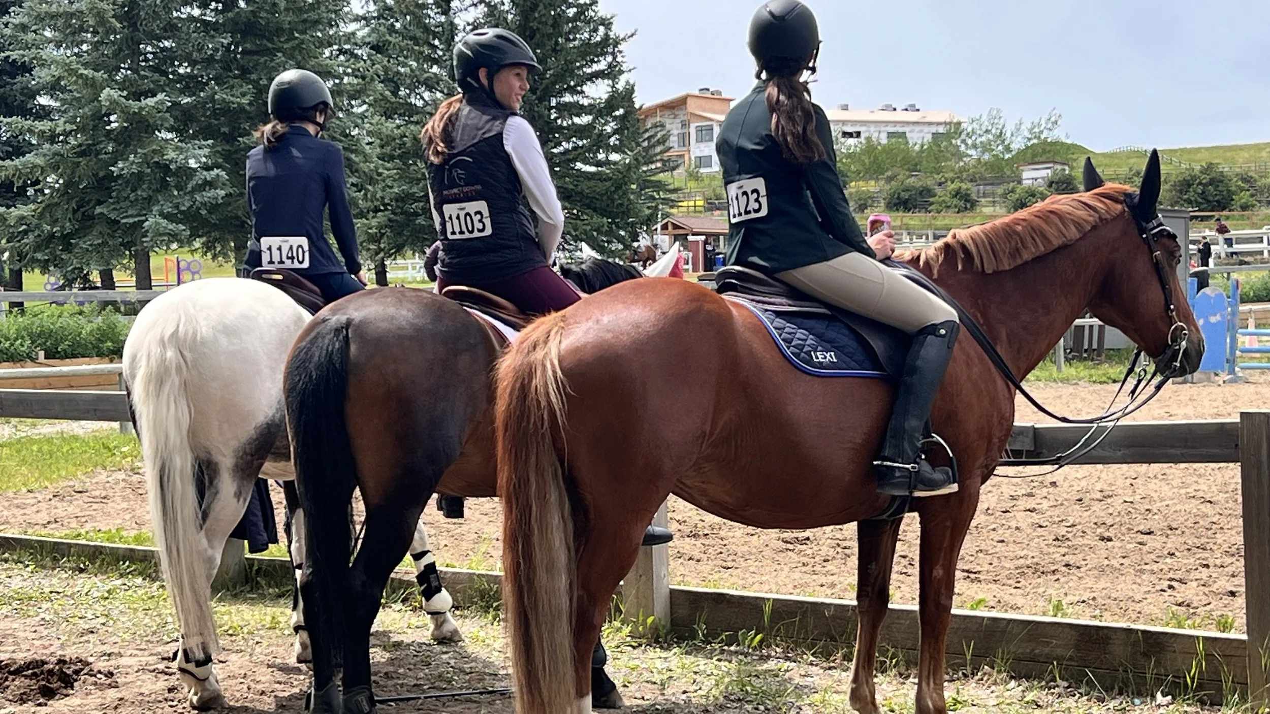 Three women on horses at an outdoor riding area, with one woman drinking from a water bottle, all wearing riding helmets and numbered vests.