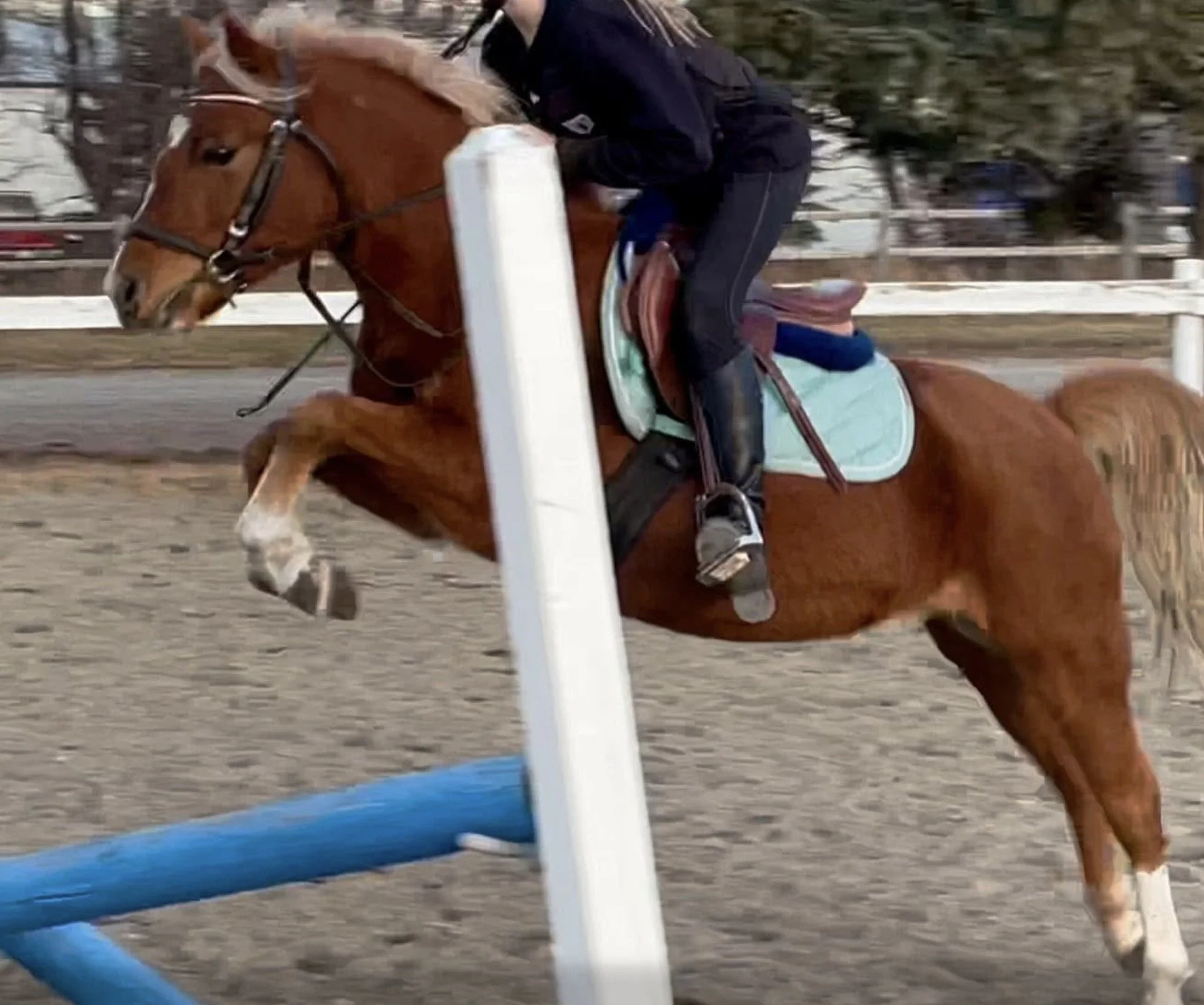A person riding a galloping brown horse on a dirt racetrack, wearing dark riding clothes, with a white fence and trees in the background.