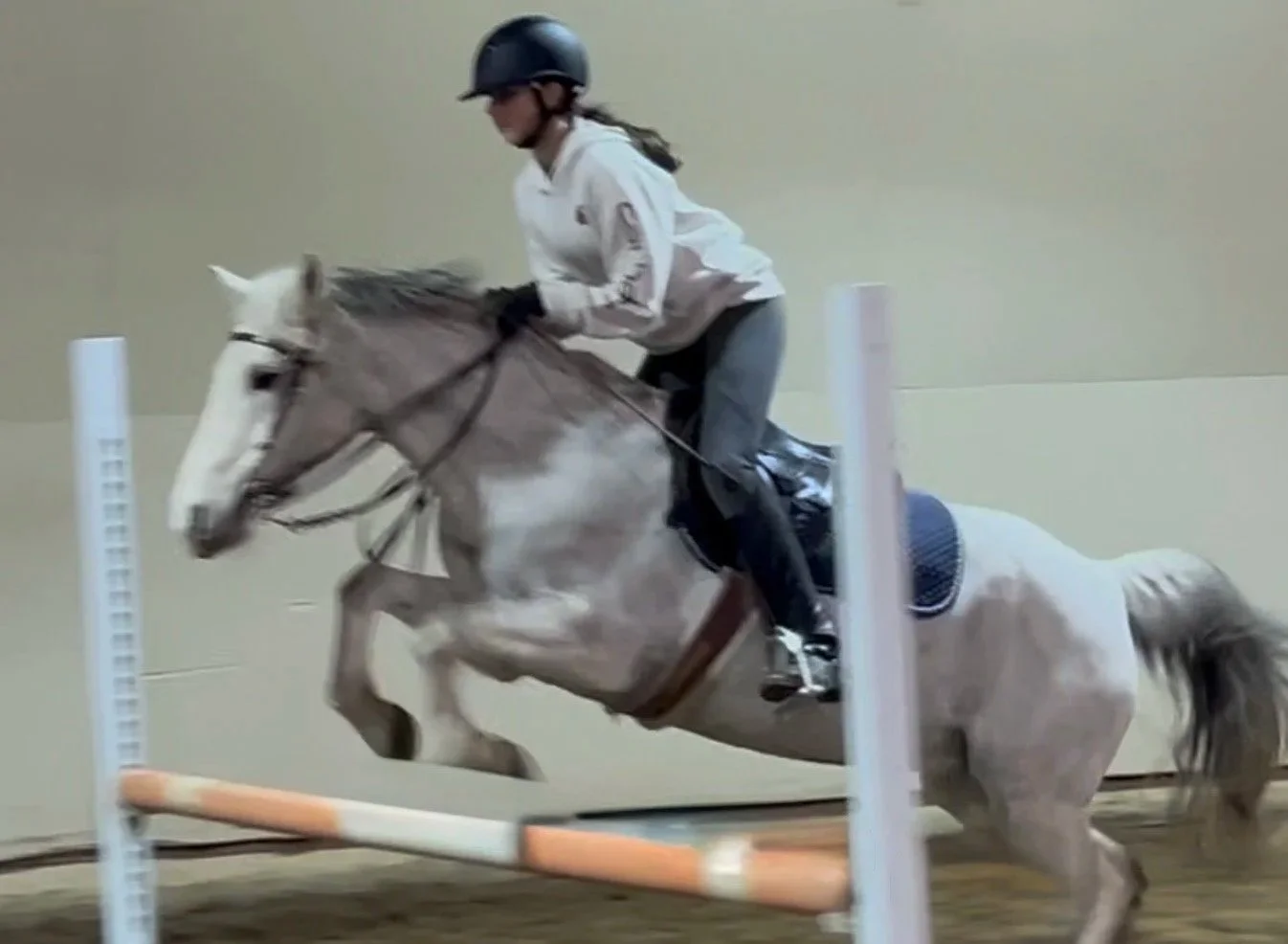 A person riding a white horse jumps over an obstacle in an indoor equestrian arena.
