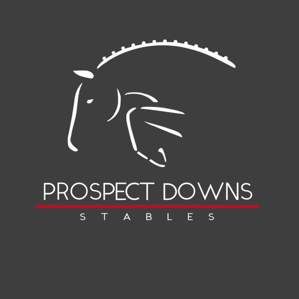 Logo for Prospect Downs Stables featuring a stylized horse head with a harness and a semicircular element above it, with the words "Prospect Downs Stables" below.