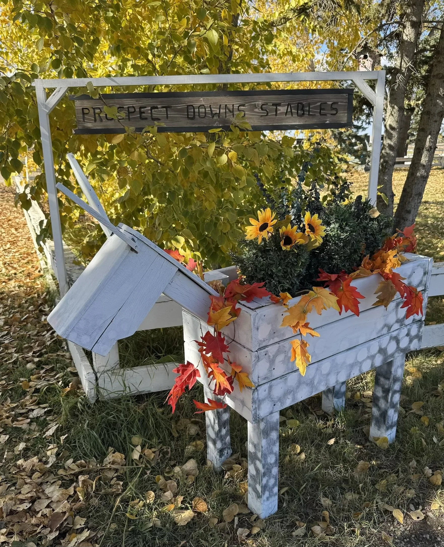 A white wooden sculpture of a calf, resembling a mailbox, with a black sign on top that reads 'Respect Down Stables' and a black arrow pointing to the right. It is decorated with sunflowers and autumn leaves, situated outdoors among trees with yellow