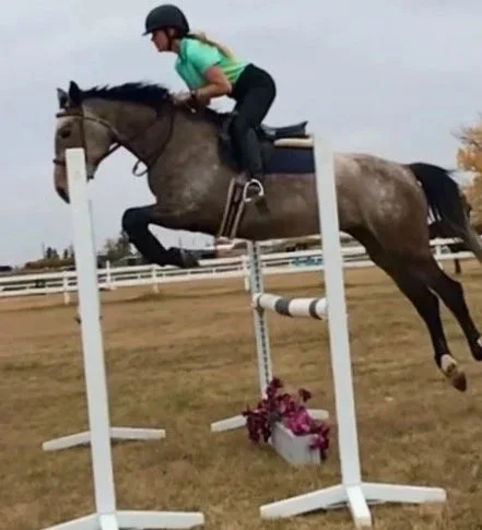 A girl in a green shirt and black riding helmet riding a gray horse jumping over a flower box in an outdoor equestrian arena.