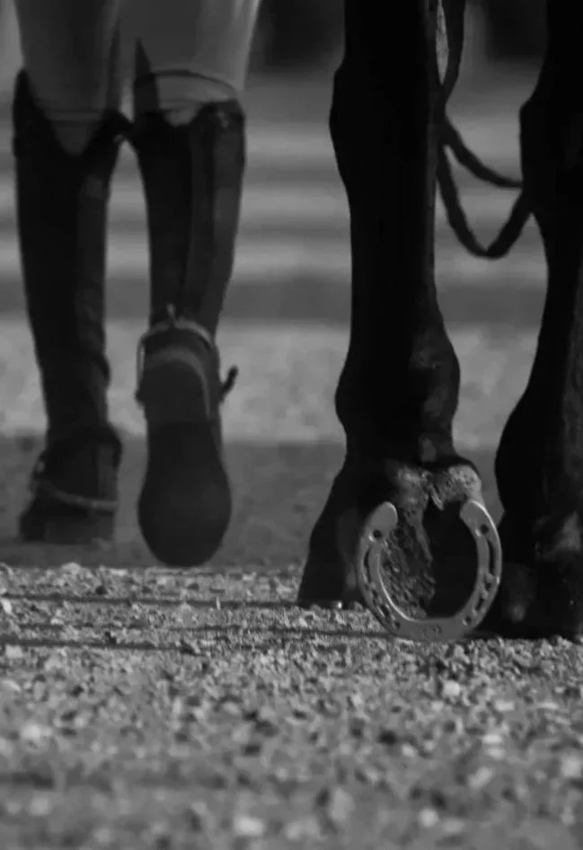 A horse walking with a rider on its back. The horse is holding a horseshoe in one hoof. The photo is in black and white, focusing on the lower parts of the horse and rider.