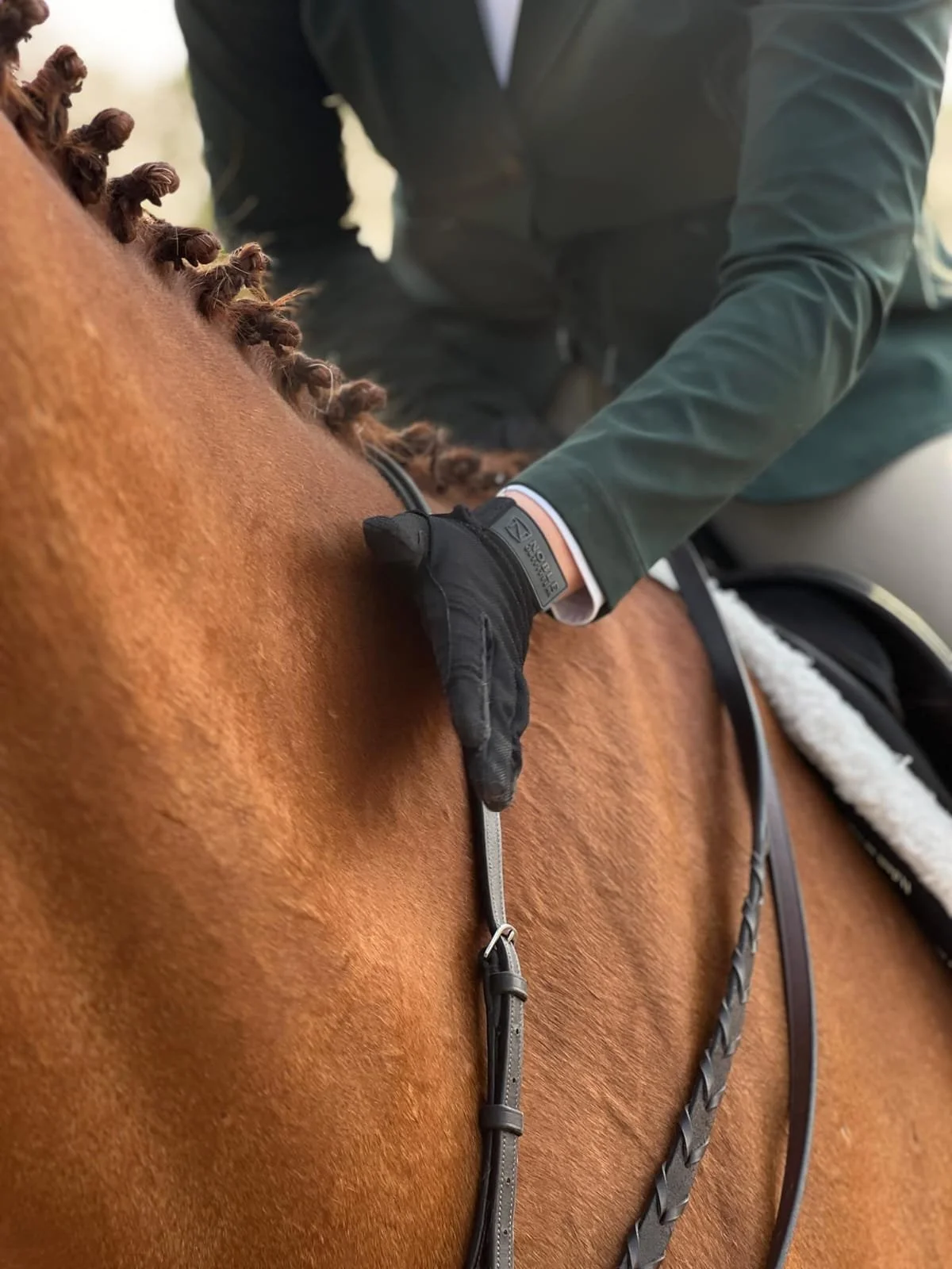 Close-up of a person in riding gear adjusting the saddle on a brown horse, wearing black gloves and a green jacket.