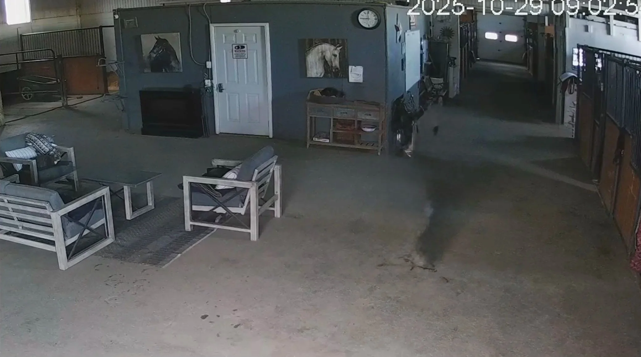 Indoor space with seating area including two white chairs and a small table, a door with a horse's face painting on the wall, and a hallway leading to a garage door, with a clock on the wall showing 9:02. Timestamp in top right corner reads 2025-10-29 09:02:58.