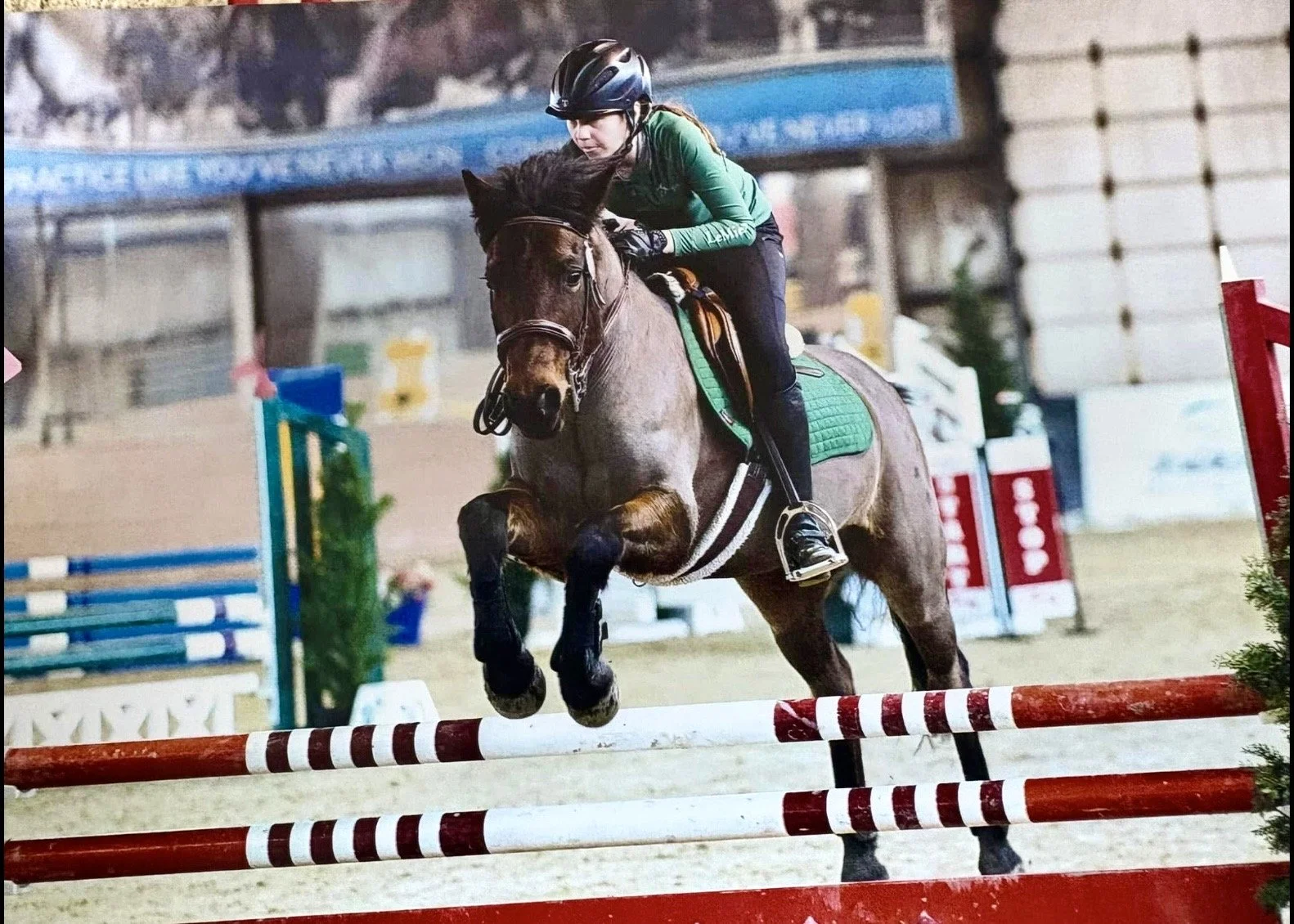 A female equestrian rider wearing a green long sleeve shirt and black helmet jumping over a red and white show jumping obstacle on a brown horse with a green saddle pad inside an indoor arena.