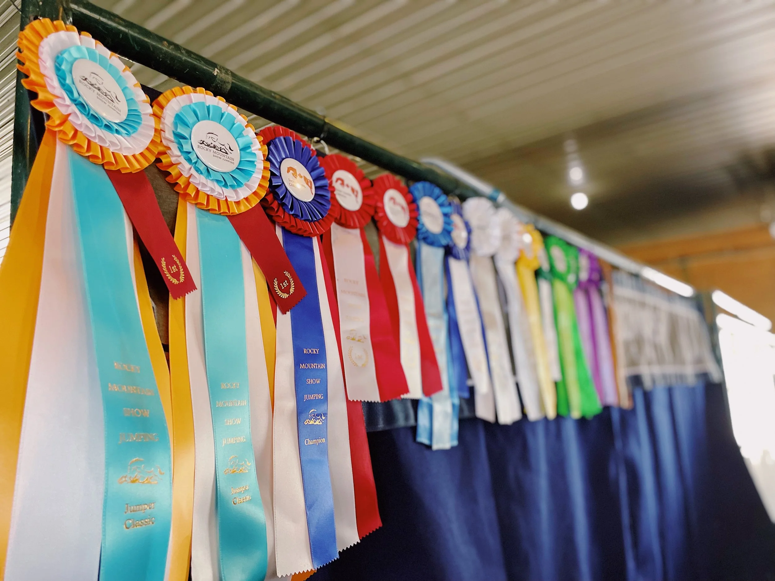 Colorful award ribbons hanging on a display. The ribbons are in shades of blue, red, yellow, and white, with some labeled '1st' and 'Champion.'