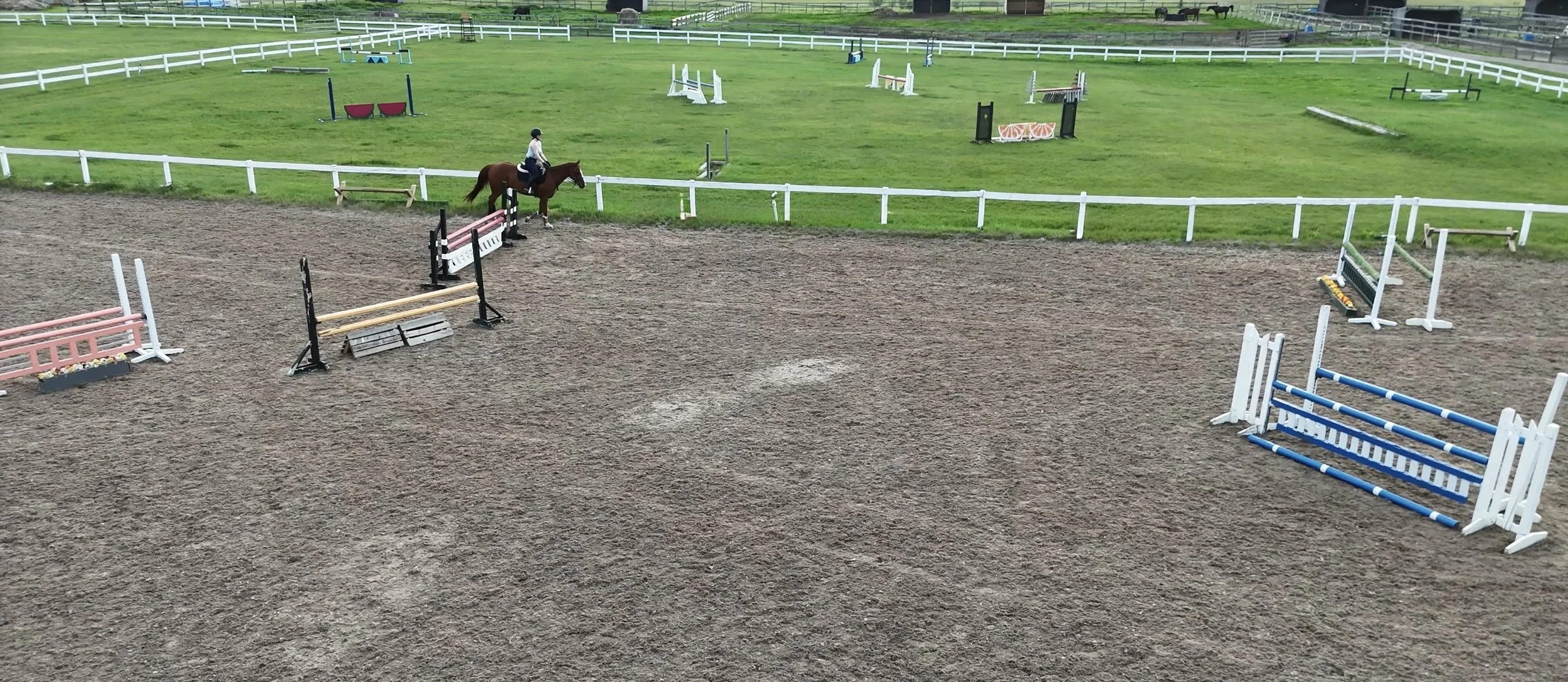 A horse and rider in an outdoor equestrian arena with show jumping obstacles, surrounded by green grassy fields and white fencing.