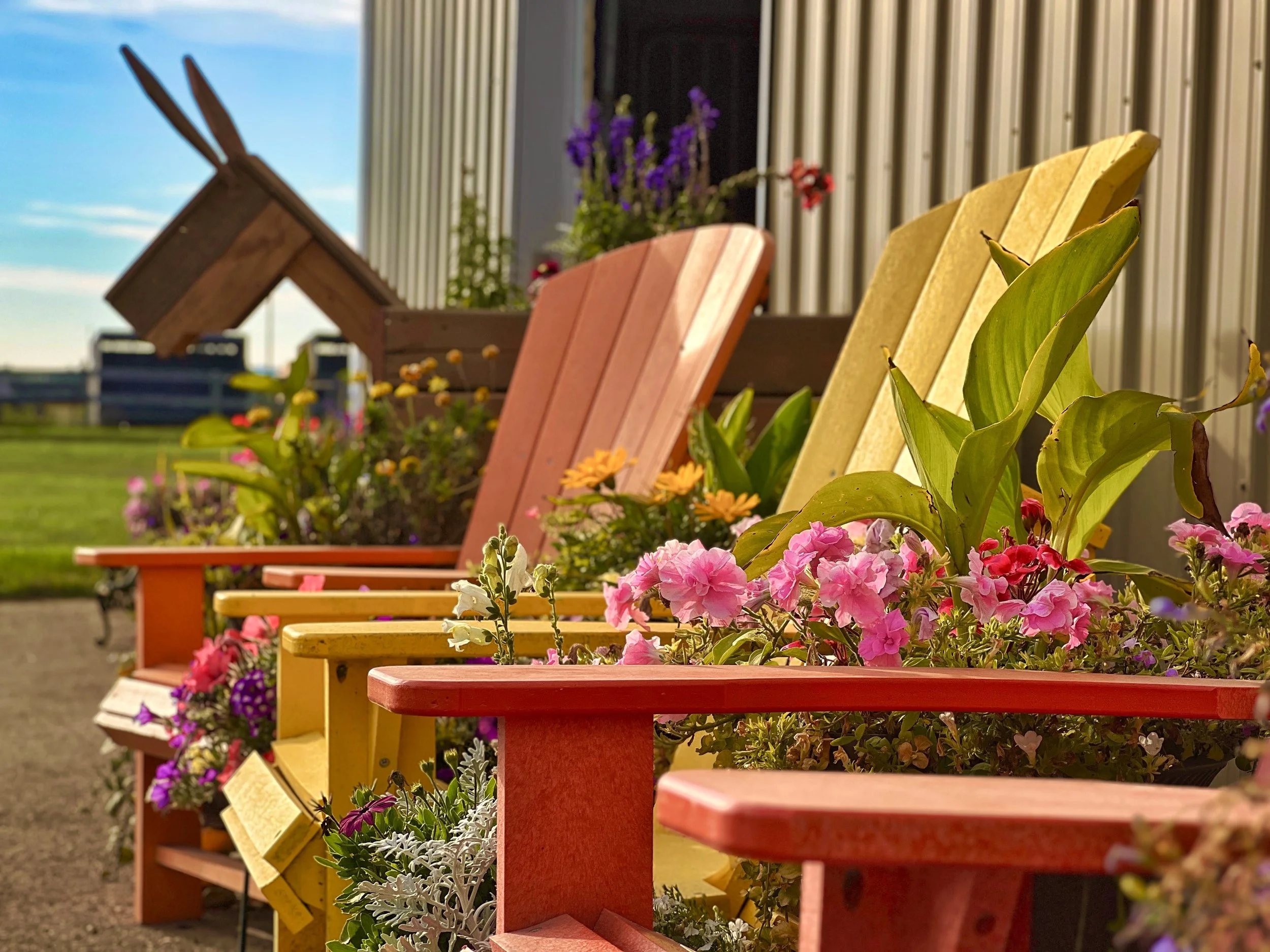 Colorful wooden benches with various potted flowers in front of a metal building, under a partly cloudy blue sky.