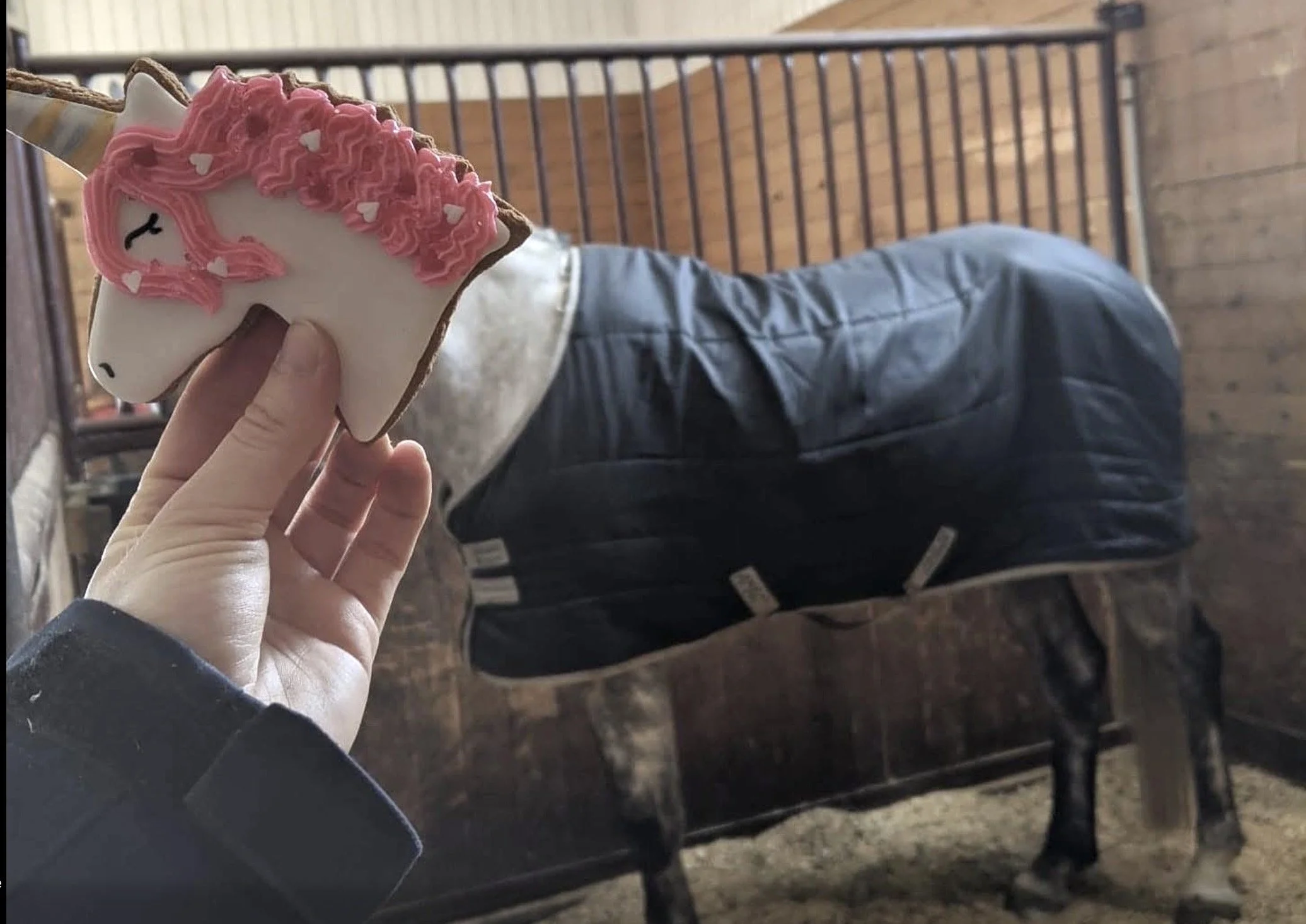 Person holding a unicorn-shaped cookie with pink frosting and white heart decorations, standing near a metal gate and a wooden fence in a rustic setting.
