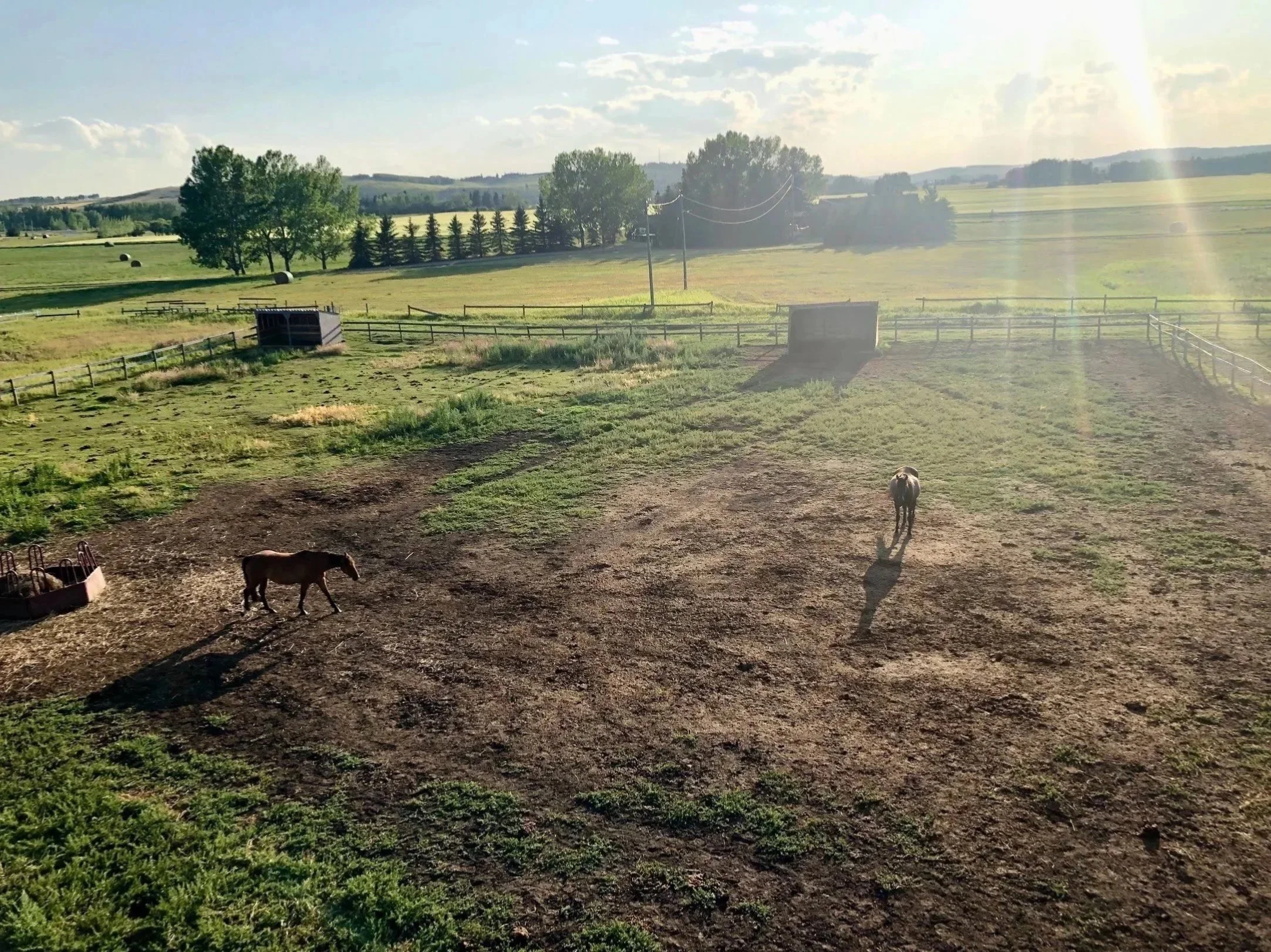 A farm with green fields, trees, and hay bales in the distance under a partly cloudy sky. There are horses grazing and standing in the foreground, along with fences and a small shelter.
