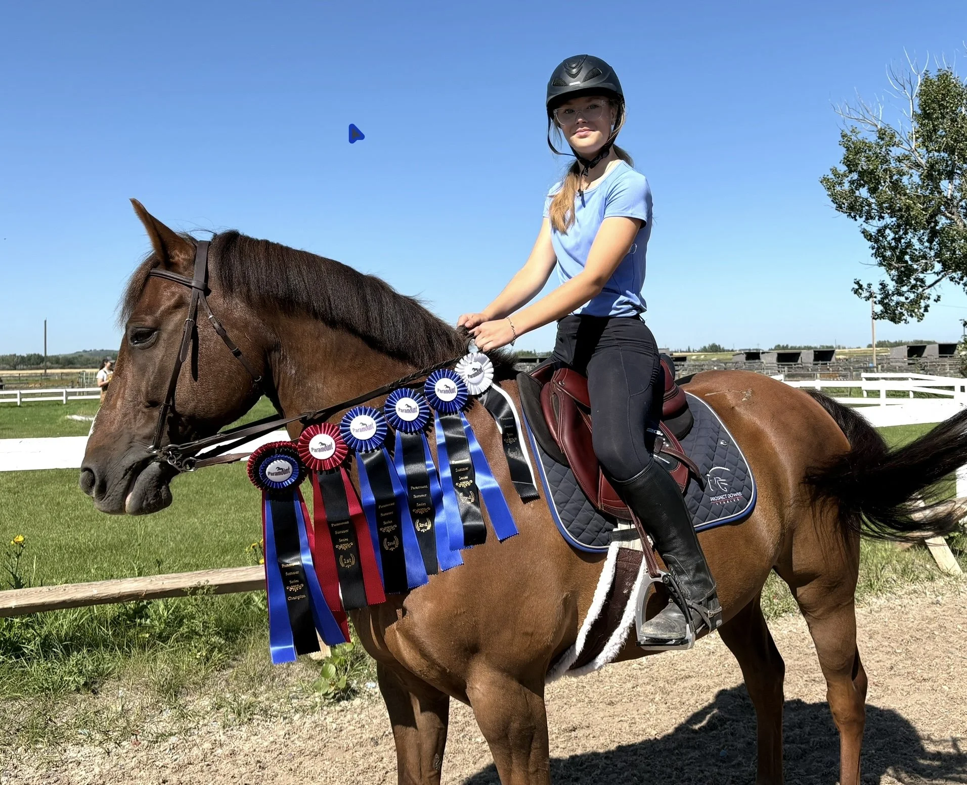 A young woman riding a brown horse at an equestrian event on a sunny day. The horse has multiple award ribbons attached to its bridle, and the rider wears a helmet and glasses, with a blue shirt and black pants. There are trees, a white fence, and a 