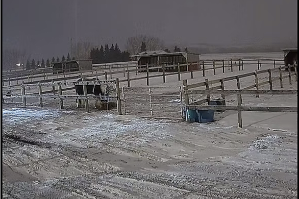Snow-covered farm with horse stalls, fencing, and a snow-covered road in the foreground during winter.