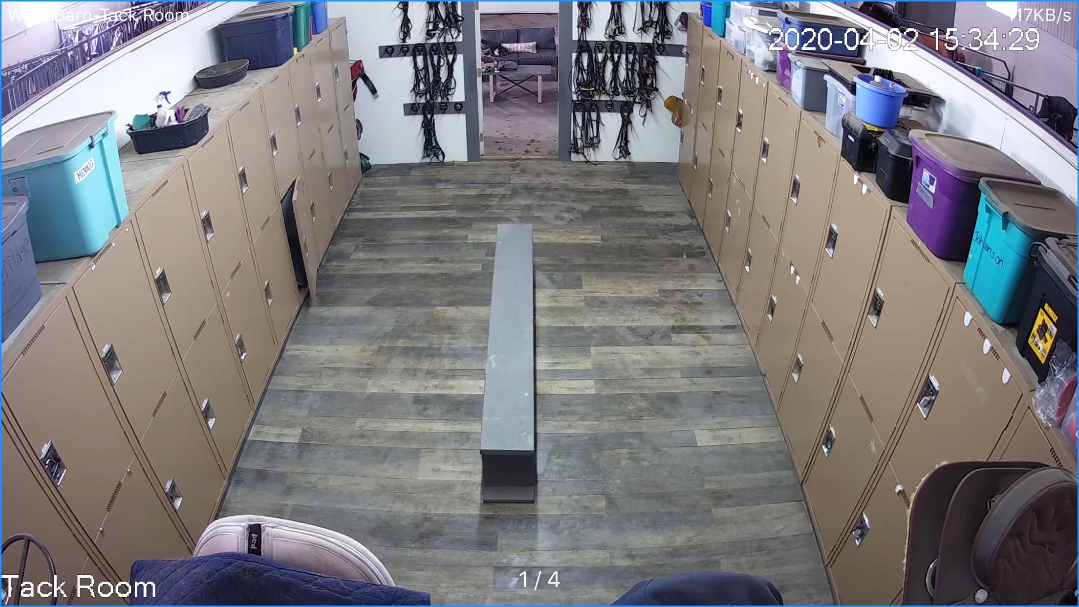 A tack room with beige lockers lining both sides, containing various storage bins and supplies. The room has wooden flooring, and a bench in the center. Equine bridles and halters are hanging on the walls near an open doorway, which leads to an outdoor area with dirt ground.