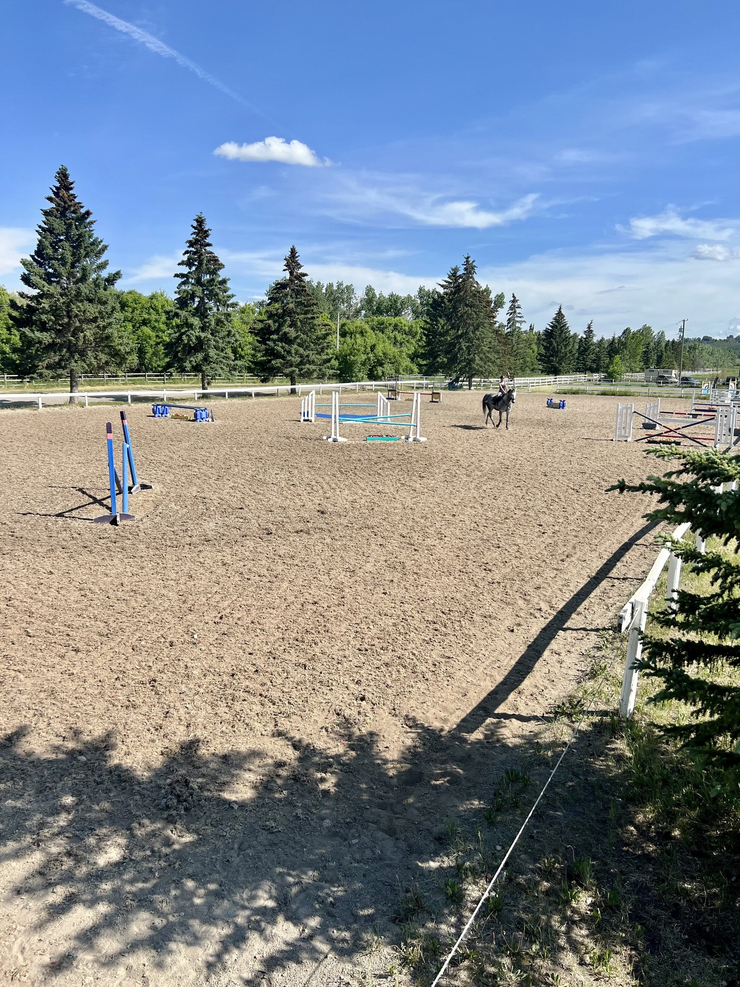 An equestrian riding a horse in an outdoor riding arena with jumps, surrounded by green trees and a blue sky with some clouds.