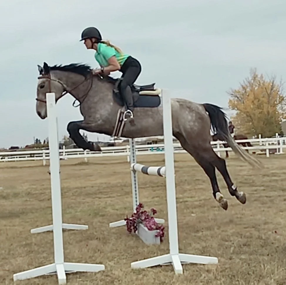 A female equestrian wearing a helmet and a green shirt rides a gray horse over a show jumping obstacle on a grassy field with a white fence and trees in the background.