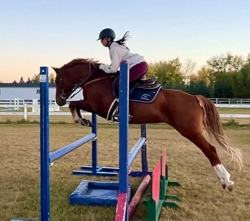 A girl wearing a helmet riding a horse that is jumping over a blue obstacle in an outdoor equestrian arena.