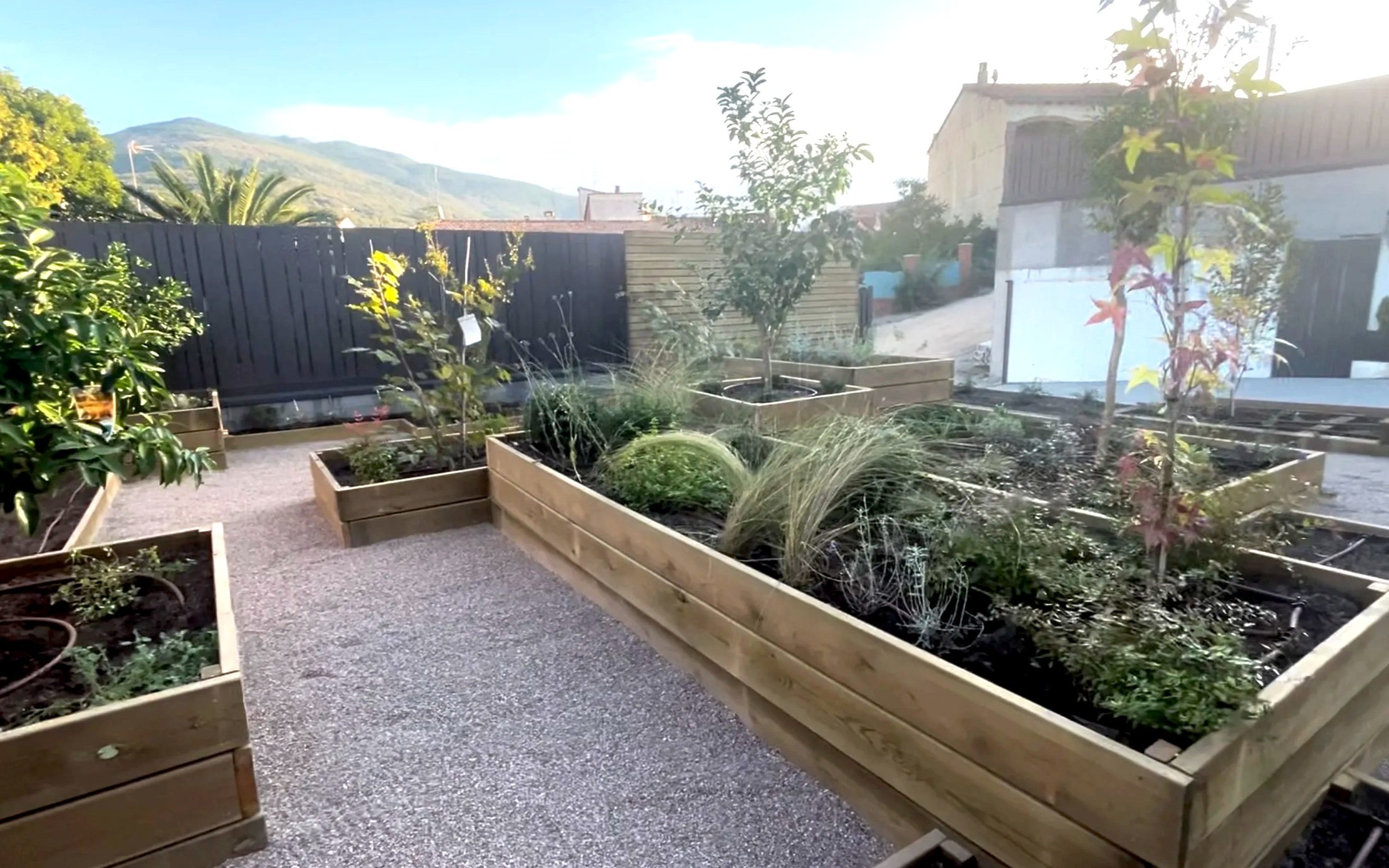 Jardín con macetas de madera con plantas y árboles jóvenes, camino de piedra y fondo de casas y montañas.
