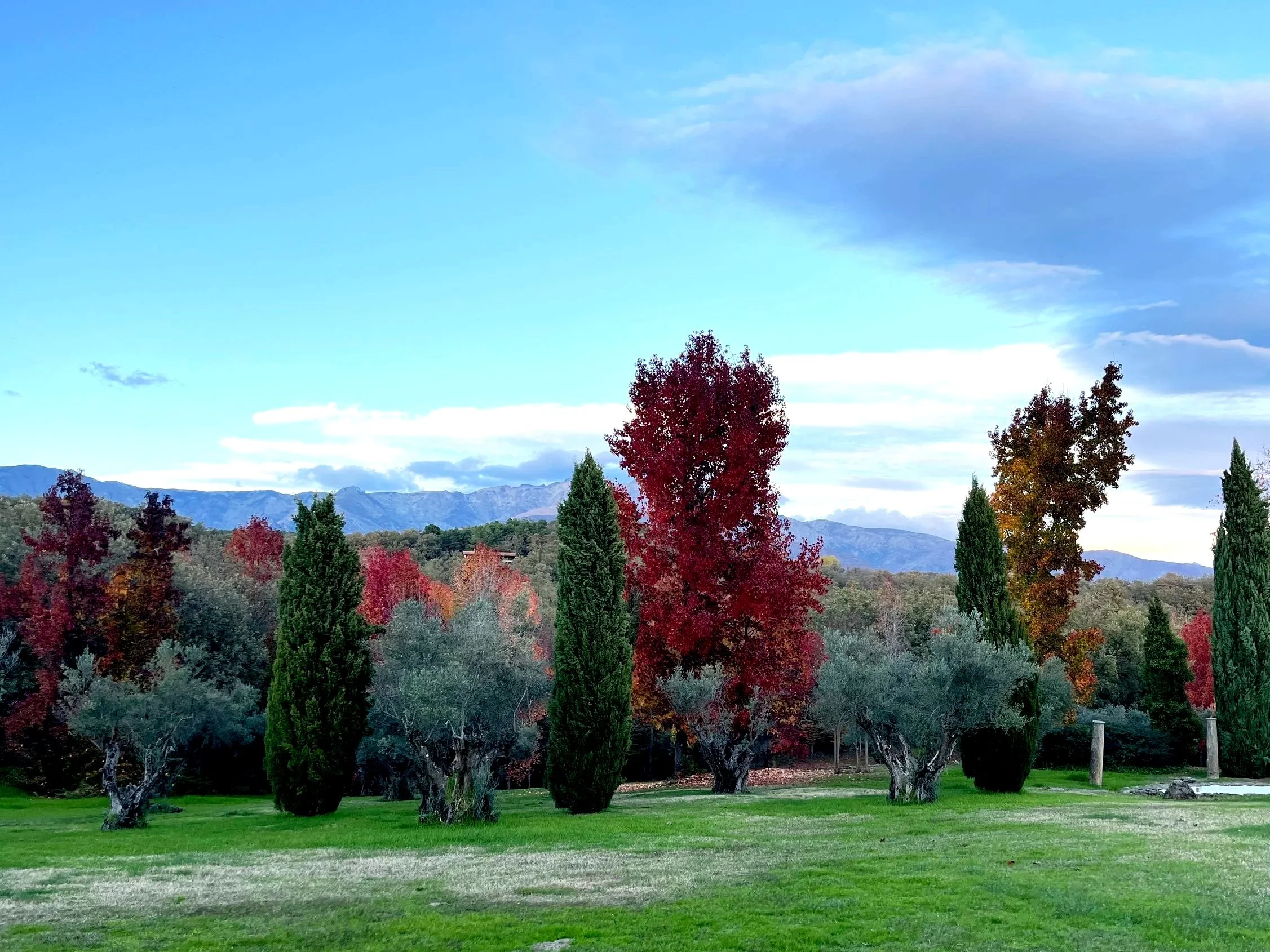 Paisaje con árboles en otoño, césped verde y montañas al fondo bajo un cielo parcialmente nublado.