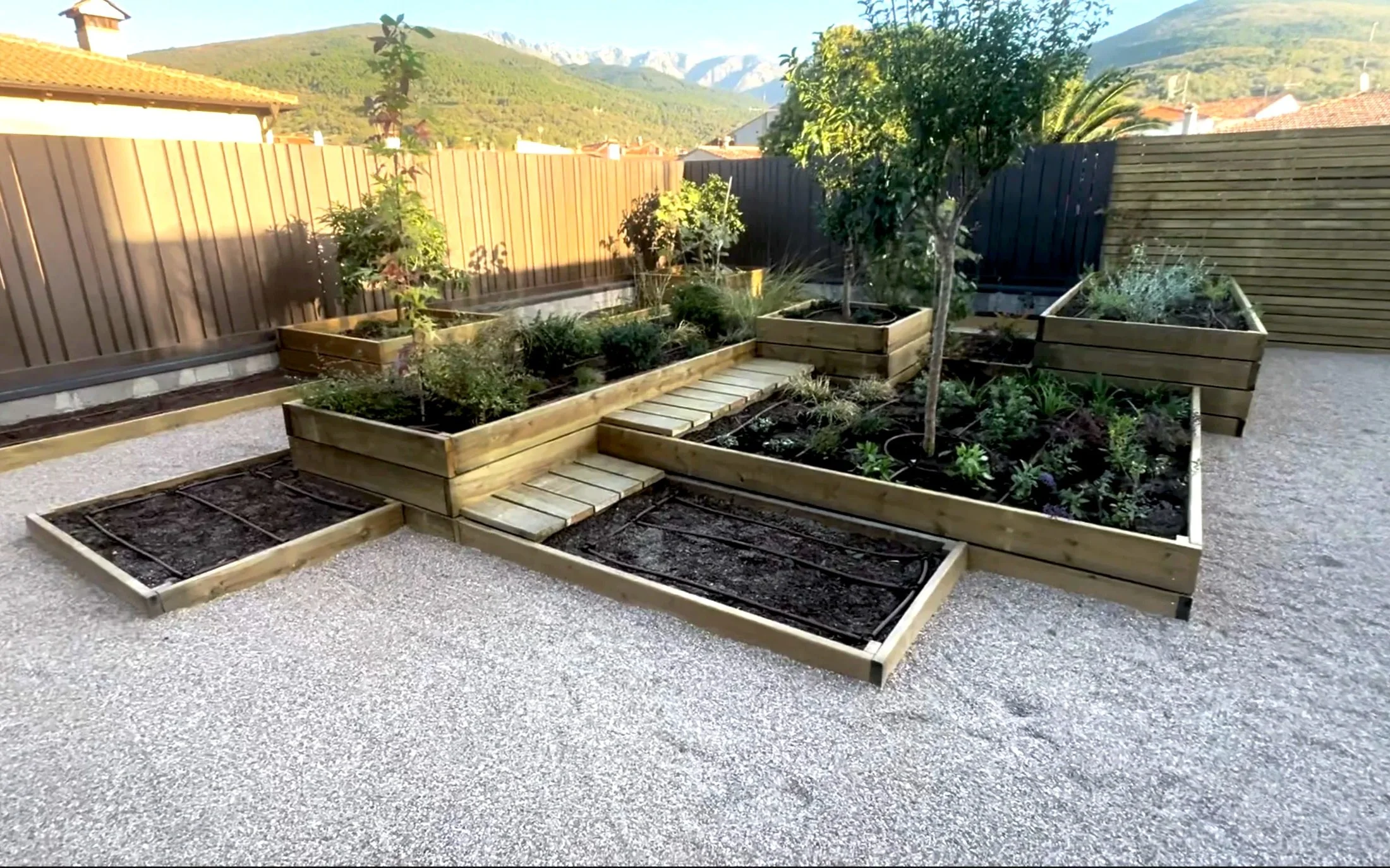 Jardín con varias jardineras de madera, algunas con plantas y árboles jóvenes, en un patio con cerca de madera y montañas al fondo.