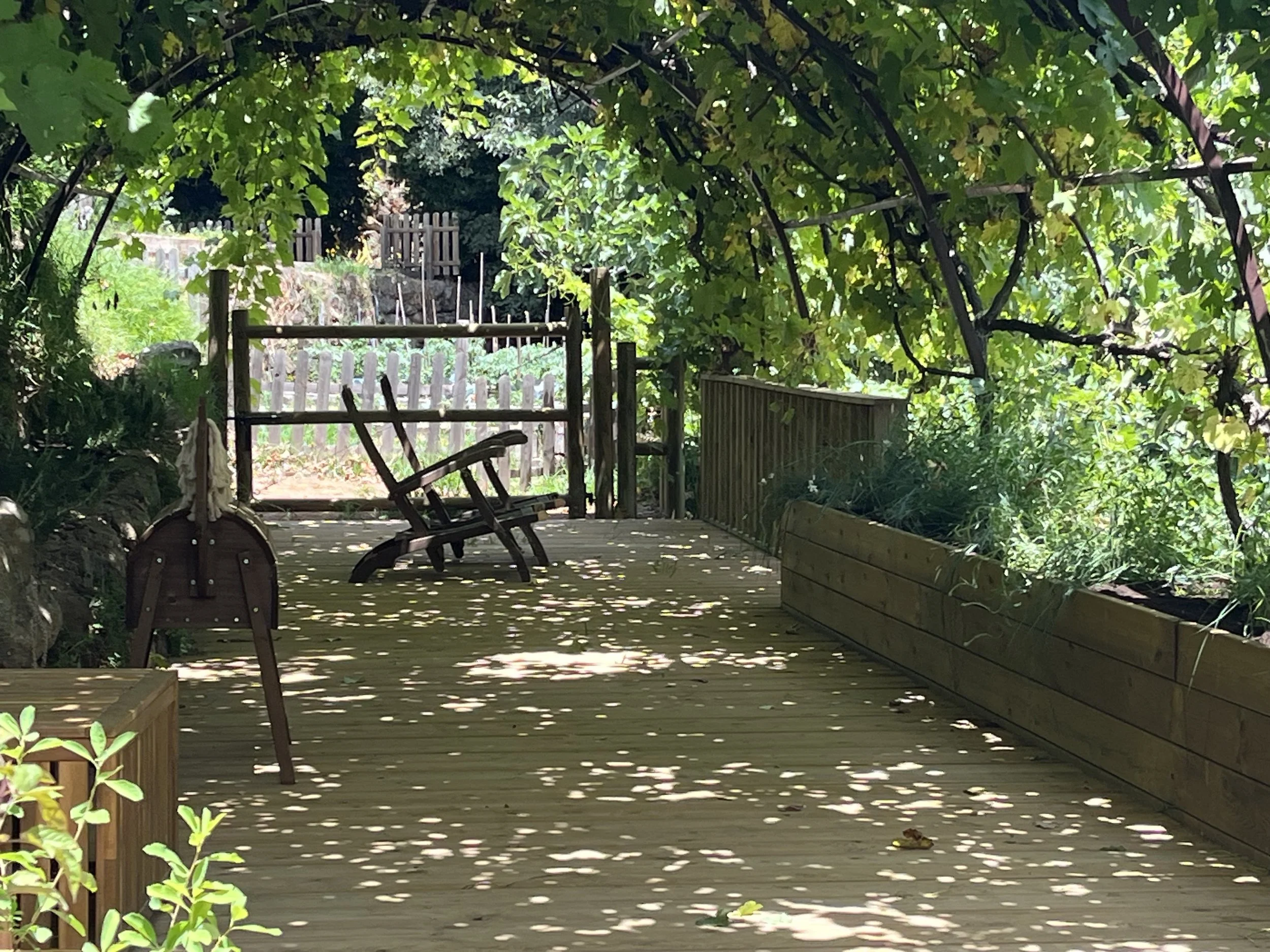 Pasarela de madera con sombra de ramas y hojas verdes, bancos de madera, en un entorno natural con plantas y un fondo con valla de madera.