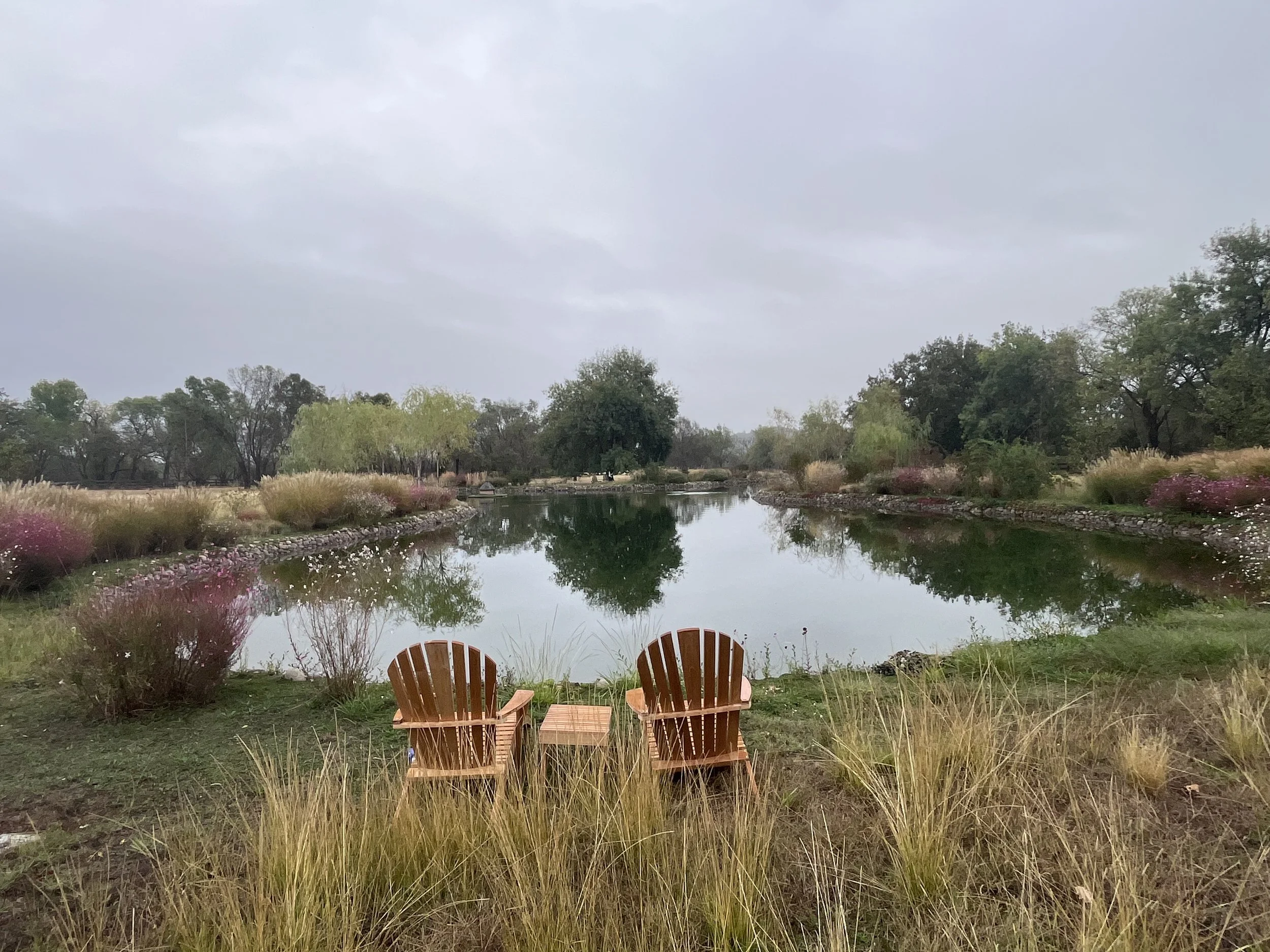 Dos sillas de madera junto a un estanque rodeado de arbustos y árboles en un paisaje tranquilo con cielo nublado.