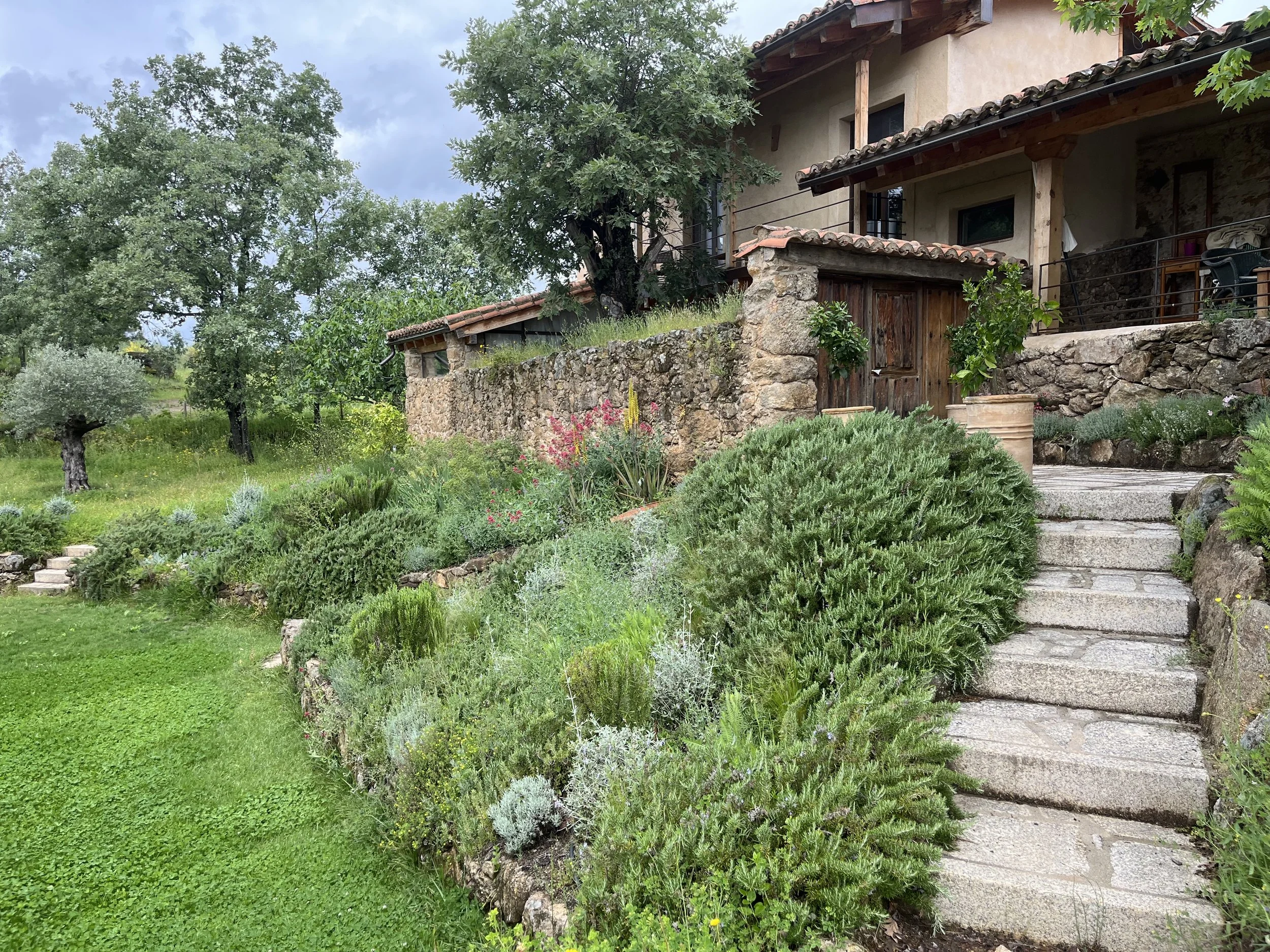 Casa de piedra con jardín verde y escalera de piedra que sube hacia la entrada, rodeada de árboles y plantas.