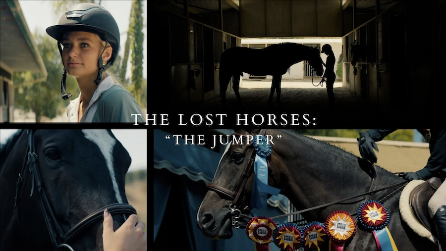 Interview_AshelyAvis_LostHorses_Jumper.png
