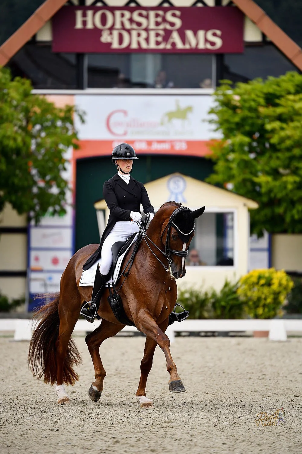 A Path of Her Own Making: How Nathalie Wahlund Made Her Own Way Into Elite Dressage