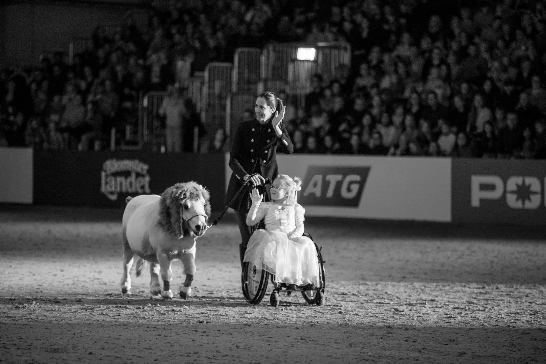 The Horses Who Heal | Bringing Hope into Swedish Hospitals
