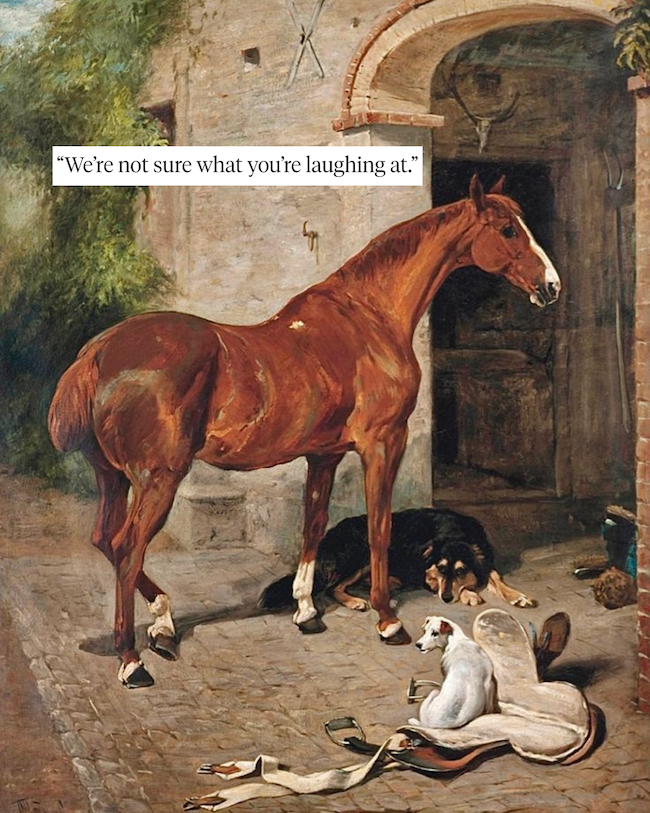 Why ‘Funny’ Viral Horse Content Often Isn’t Funny At All