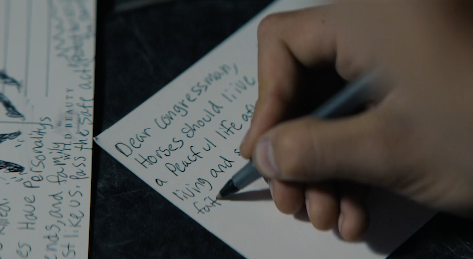 The Power of Words and Young Voices | Inside the Lost Horses Letter Writing Competition