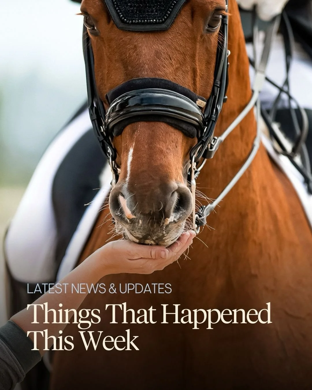 Things that happened this week:

🚀 Kent Farrington&rsquo;s Greya has been voted 2025 International Horse of the Year. 

🐎 Eventer Boyd Martin has been named the USEF&rsquo;s International Equestrian of the Year. 

🐴 The 2026 US Equestrian Annual M
