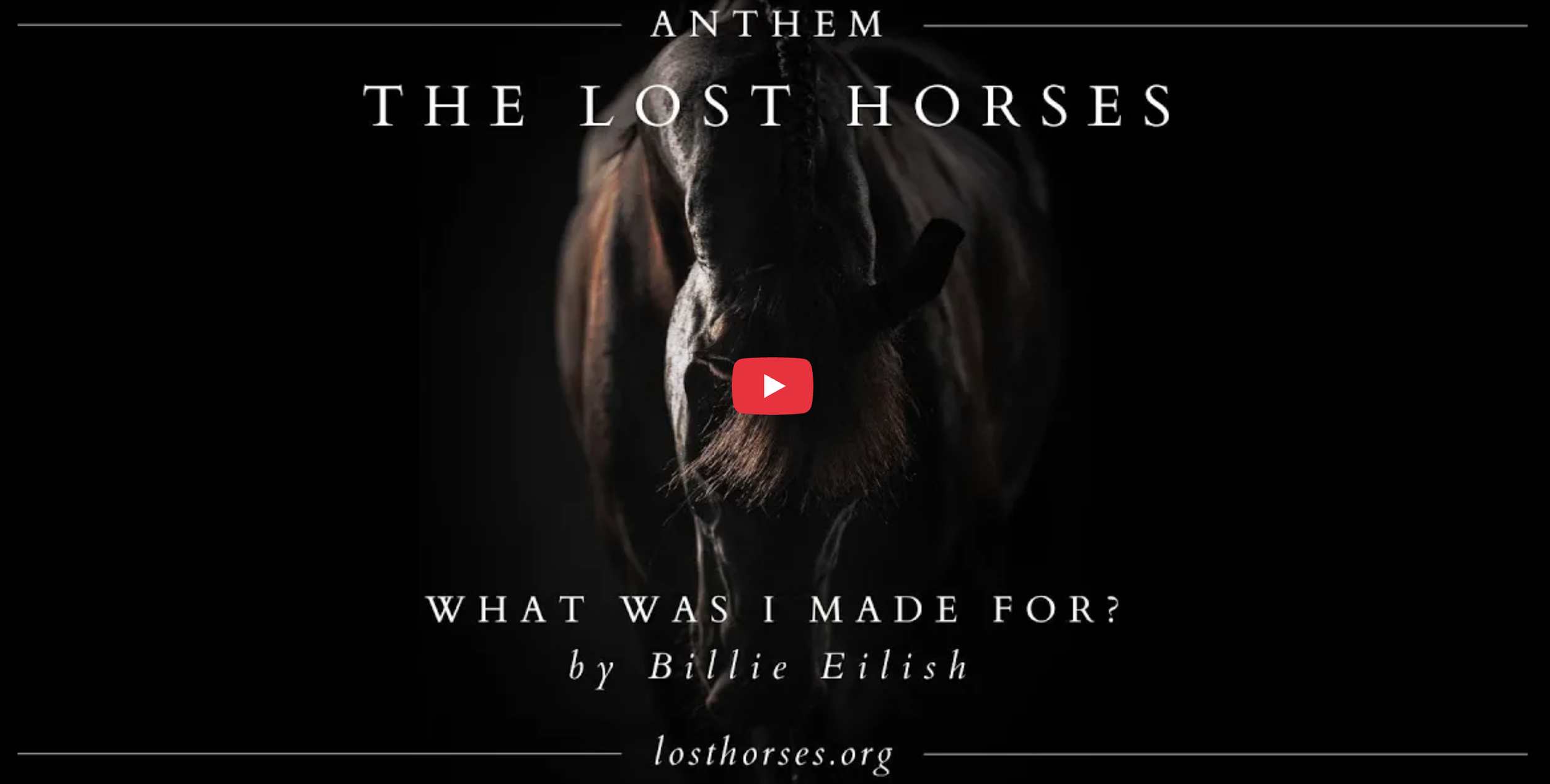 Filmmaker Ashley Avis Launches ‘Lost Horses’ Campaign at Sundance