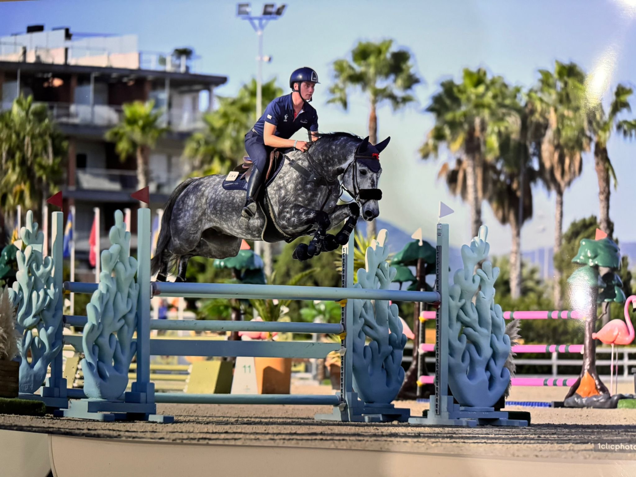 Develop Suppleness: Gymnastic Jumping Exercises with International Showjumper Joe Fernyhough