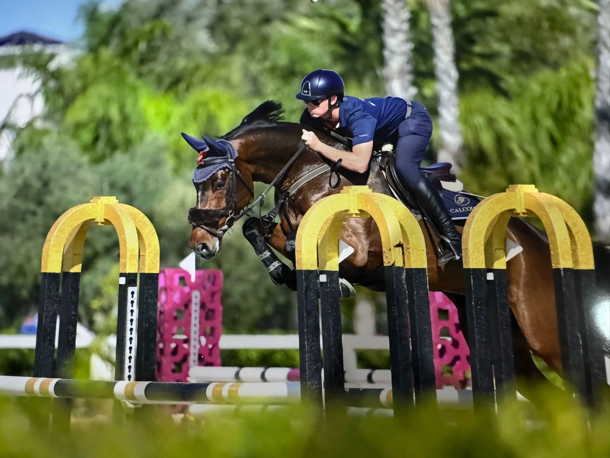 Encouraging Straightness: Gymnastic Jumping Exercises with International Showjumper Joe Fernyhough