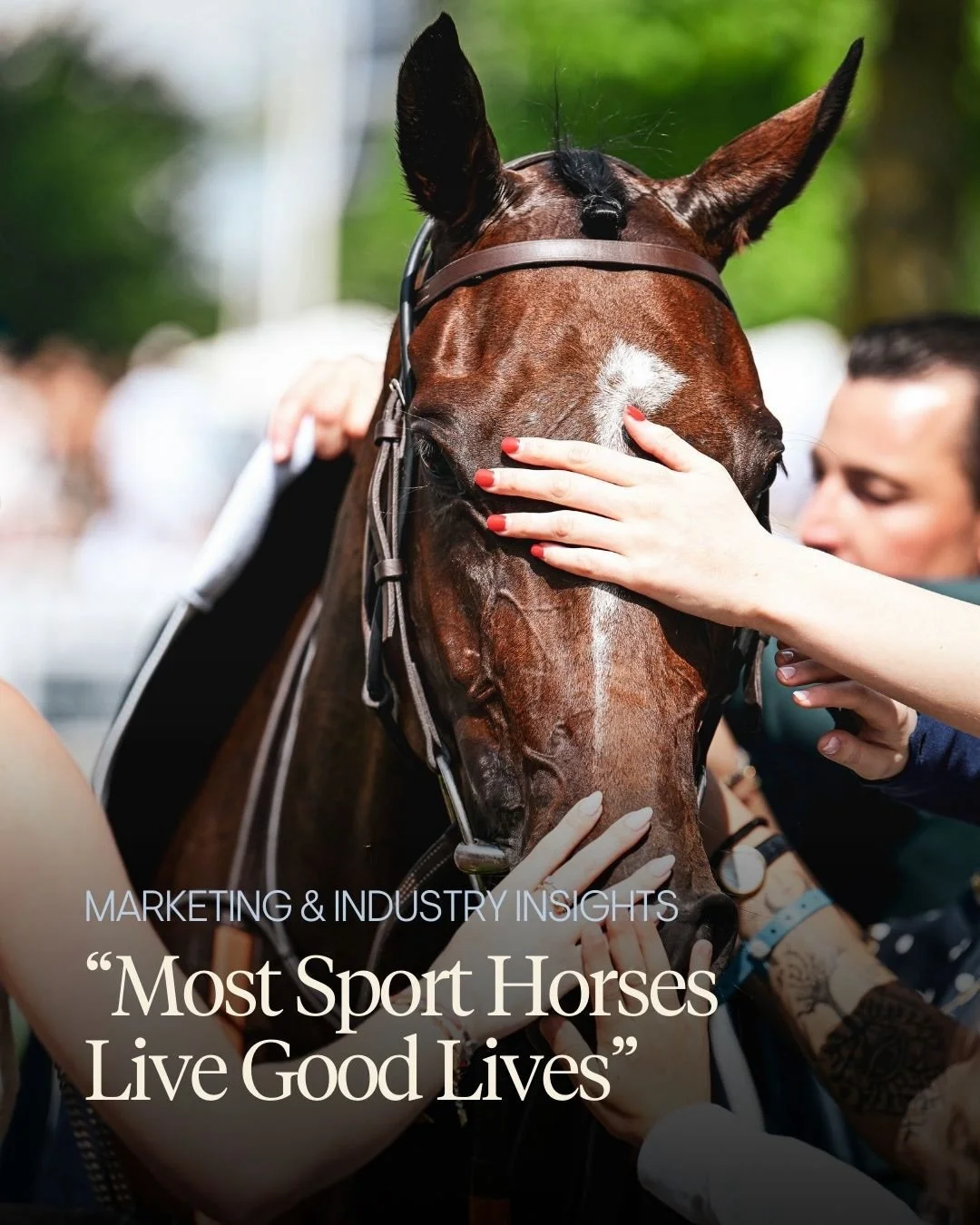 Equestrian sport operates in a world where trust is a prerequisite for acceptance.

The future won&rsquo;t be shaped by argument - it will be shaped by how welfare standards adapt, and how thoughtfully the sport engages with public concern.

Download