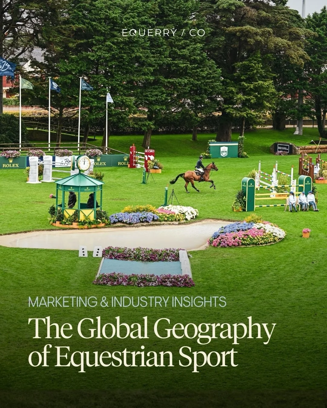 There are an estimated 60 million horses worldwide, and the global equine industry continues to demonstrate significant economic impact and rising participation.

Globally, the industry generates approximately $300 billion in annual economic activity
