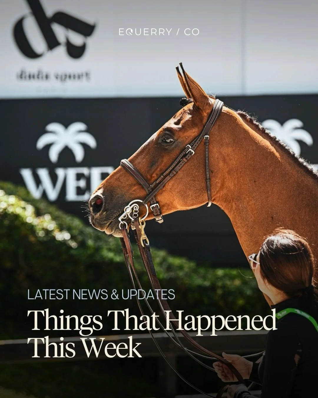 Things that happened this week:

🏆 Kent Farrington and Greya took victory in the $1m Rolex GP at the final week of the 2026 WEF season.

💼 The 15th FEI Sports Forum kicked off today in Lausanne.

🎪 The Badminton Horse Trials entry list was confirm