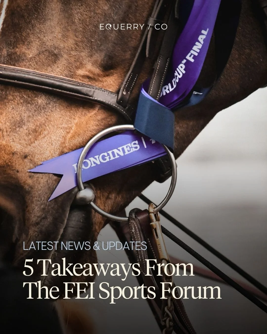 With 220 million equestrian fans around the world, and a complex network of stakeholders, the conversations had at this year&rsquo;s FEI Sports Forum are important for the entire industry.

Across the sessions, there was a clear sense that the sport 