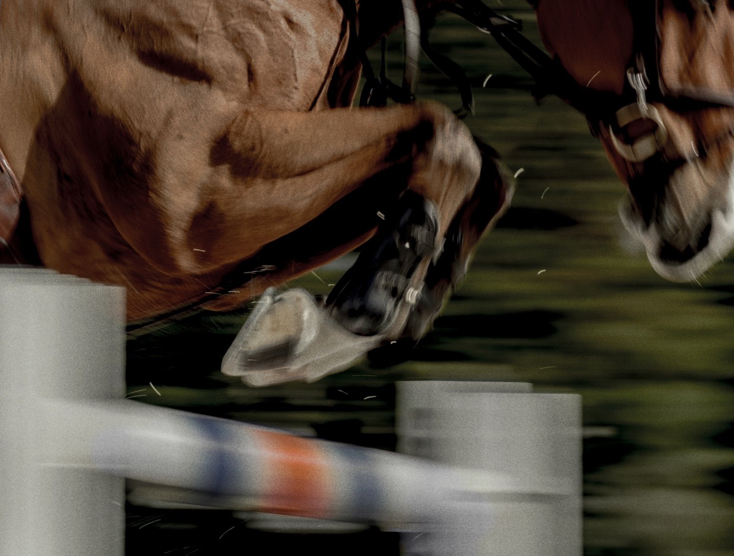 A New League, A New Model: What the Premier Jumping League Means for the Sport