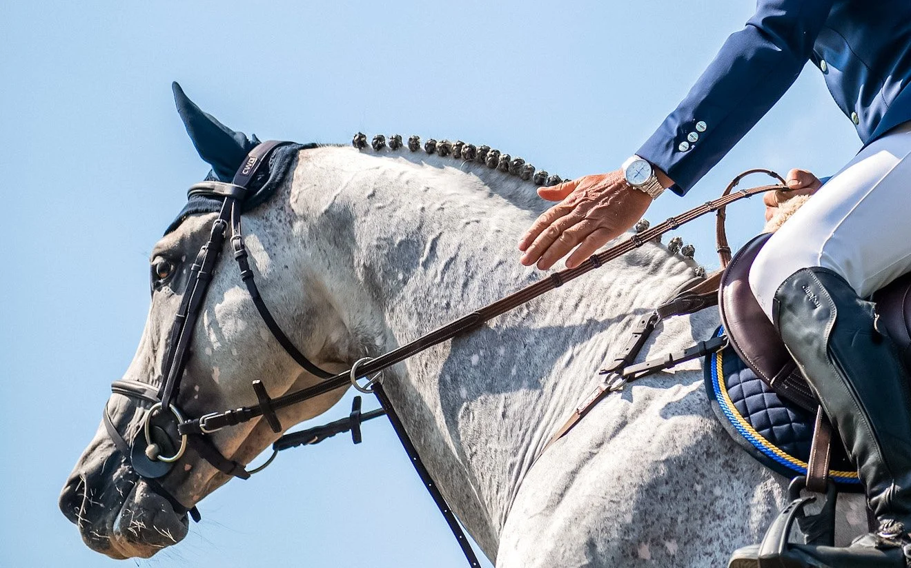 Bringing Technology Into the Equestrian Mainstream