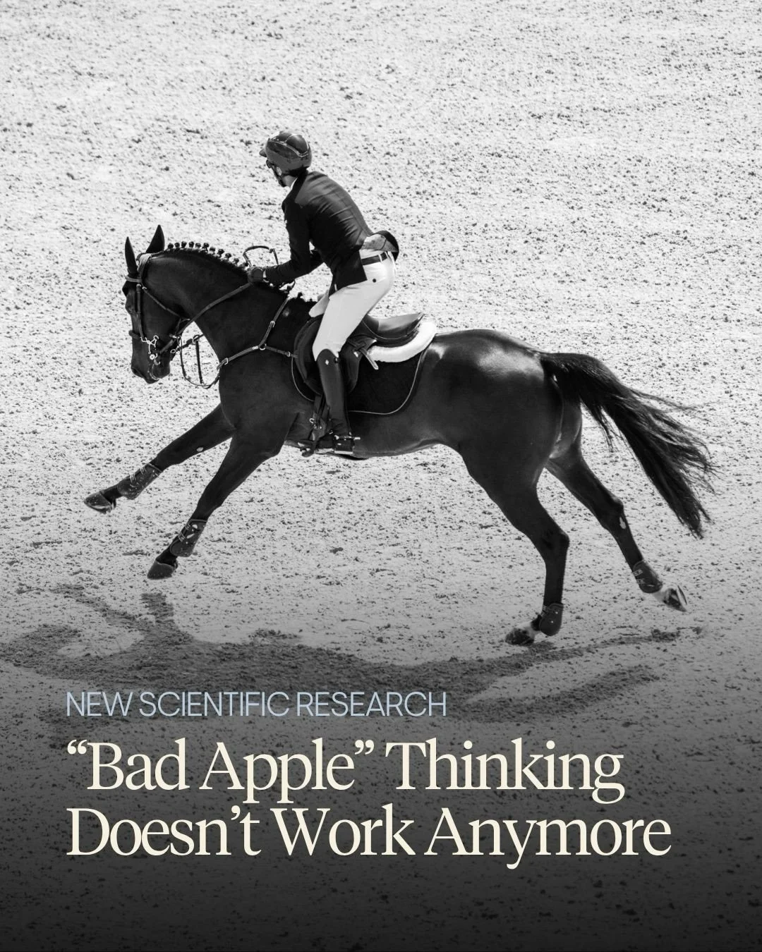 Our research into the interpretation of equestrian images from the Paris 2024 Olympic Games was recently published in the peer-reviewed Journal of Physical Fitness, Medicine &amp; Treatment in Sports.

Having captured 4,774 images across both competi